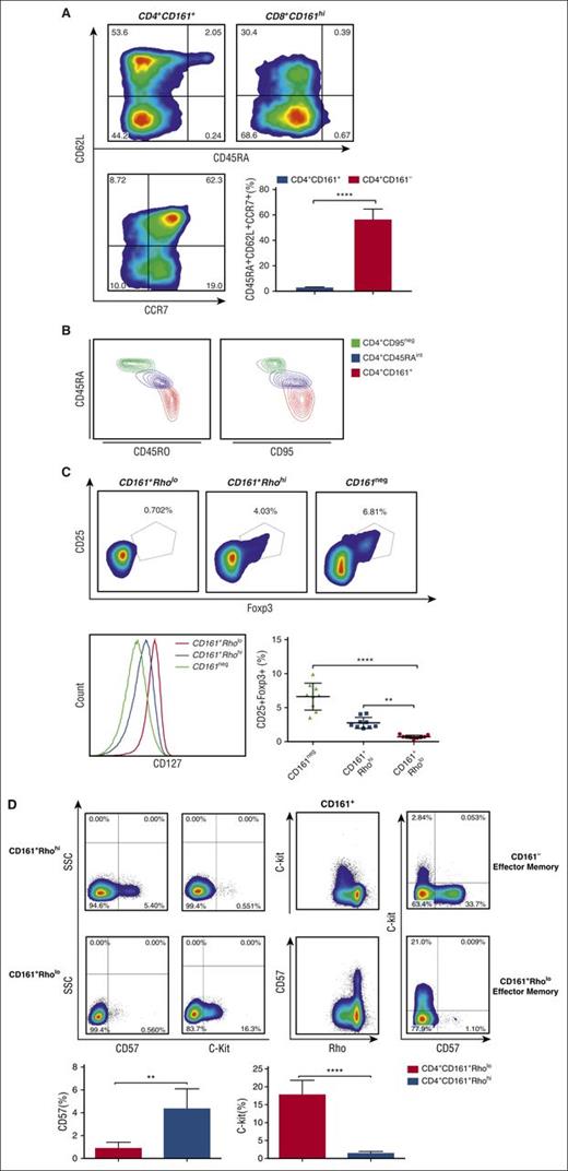 Figure 2. Comprehensive phenotypic characterization of CD4+ CD161+ Rholo T cells by multiparameter flow cytometry. PBMCs were stained with a panel of surface markers including monoclonal antibodies against CD16, TCR Vα24, CD8β, and γδ TCR to exclude natural killer, natural killer T, CD8dim, and γδ T cells, respectively. (A) Multiparameter analysis of gated CD4+CD161+ T cells revealed a mixture of effector (CD45RA−CD62L−CCR7−), central memory (CD45RA−CD62L+CCR7+), and naive-like (CD45RAintCD62L+ CCR7+) subsets; cumulative data from 5 independent experiments are shown. ***P < .001. (B) Contour plots showing expression of memory markers, CD45RO (left) and CD95 (right), on CD4+CD95neg, CD4+CD161+CD45RAint, and CD4+CD161+ T cells. (C) Regulatory T cells lack ABCB1 activity. Representative fluorescence-activated cell sorter (FACS) plots showing the frequency of CD25+Foxp3+ T cells (upper) in CD4+CD161+Rholo (left), CD4+CD161+Rhohi (middle), and CD4+CD161− (right) T cells; cumulative data from 9 independent experiments are shown in right lower panel. **P < .01; ****P < .0001. Histogram in lower left panel compares the mean fluorescence intensity (MFI) of CD127 among CD4+CD161+Rholo (red), CD4+CD161+Rhohi (blue), and CD4+CD161− (green) T-cell subsets. (D) Expression of c-kit and CD57 on CD4+CD161+Rhohi and CD4+CD161+Rholo T cells is mutually exclusive. Representative FACS plots show that c-kit expression is restricted to the rapidly effluxing CD4+CD161+ subset, whereas CD57 expression is restricted to the CD4+CD161+Rhohi T-cell subset with no detectable expression on CD4+CD161+Rholo T cells; cumulative data from 4 independent experiments are shown. **P < .01; ****P < .0001.