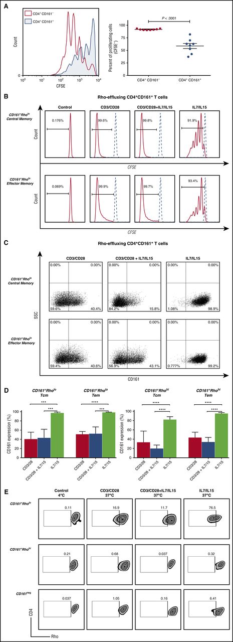 Figure 4. CD4+ CD161+ T cells with rapid efflux activity have the capacity to proliferate and differentiate. (A) Representative histograms showing the proliferative response of CD161+ (blue) and CD161− (red) CD4+ T cells to stimulation with anti-CD3/CD28 beads; cumulative data from 8 independent experiments are shown. ***P < .001. (B) Representative histograms showing the proliferative response of FACS-purified CD4+CD161+Rholo T cells that were further selected based on Tcm (CD45RA−CD62L+) (upper) or Tem (CD45RA−CD62L−) phenotype (bottom). Each FACS-sorted subset was stimulated under 3 different conditions: anti-CD3/anti-CD28 alone, anti-CD3/anti-CD28+IL-7/IL-15 and IL-7/IL-15 alone for 10 days. Proliferation was assessed by the CFSE dilution assay on day 10 of culture. (C) Expression levels of CD161 on sort-purified CD161+Rholo CD4+ Tcm and Tem cells after stimulation with anti-CD3/anti-CD28 alone, anti-CD3/anti-CD28+IL-7/IL-15, and IL-7/IL-15 alone on day 10. (D) Quantitative analysis compares CD161 expression on CD161+Rholo (left) and CD161+Rhohi (right) by different proliferative stimulus for Tcm and Tem subsets. (E) Homeostatic cytokines, IL-7 and IL-15, instruct self-renewal and maintain retention of rapid effluxing function. Sort-purified CD161+Rholo, CD161+Rhohi, and CD161−CD4+ T cells were stimulated with anti-CD3/anti-CD28, anti-CD3/anti-CD28+IL-7/IL-15, and IL-7/IL-15 alone for 10 days. Representative FACS plots showing Rho efflux by CD161+Rholo, CD161+Rhohi, and CD161−CD4+ T cells after incubation at 37°C for 30 to 60 minutes compared with negative control on day 10.