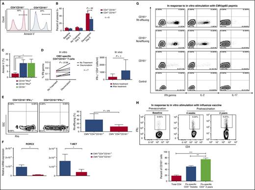 Figure 6. CMV-specific CD4+ CD161+ T cells are resistant to daunorubicin-induced lymphotoxicity in vitro, have drug-effluxing capability, and reside within the Th1 rather than Th17 subset. PBMCs were exposed to daunorubicin in vitro and apoptosis was assessed by annexin V staining. (A) Histograms show the percentage of annexin V+ cells in CD4+CD161− and CD4+CD161+ subsets. (B) CD4+CD161+ T cells were significantly more resistant to apoptosis after 2 days of in vitro treatment with daunorubicin (P = .02), as assessed by annexin V staining compared with their CD161− counterpart (n = 6). (C) CD161+RhloCD4+ T cells are resistant to daunorubicin-induced cytotoxicity in vitro. Sort-purified CD161+Rholo, CD161+Rhohi, and CD161− CD4+ T cell subsets were cultured for 48 hours in the presence and absence of daunorubicin. Bar plots show cumulative data comparing annexin V+ cell frequency within the CD4+CD161+Rholo, CD4+CD161+Rhohi, and CD4+CD161− populations. Data represent the mean ± SE from 3 separate experiments. (D) PBMCs from 7 CMV-seropositive healthy donors were incubated in vitro with daunorubicin for 48 hours and then stimulated with CMVpp65 peptide at a concentration of 1 µg/mL for 4 to 6 hours; cumulative data depict a relative increase in the frequencies of IFNγ-producing CD4+CD161+ CMV-specific T cells after in vitro treatment with daunorubicin; data from 7 different experiments are shown. *P = .0136. The absolute number of CMV-specific CD4+ T cells as measured by IFN-γ response in patients with AML recovering from daunorubicin-based induction chemotherapy compared with samples collected before chemotherapy. (E) PBMCs from CMV-seropositive healthy donors were stimulated with CMVpp65 peptide at a concentration of 1µg/mL for 4 to 6 hours, followed by incubation with Rho. IFN-γ secreting cells were enriched using the IFN-γ cell secretion and enrichment kit (Miltenyi). Rho pumping was assessed in CD4+CD161+IFN-γ secreting T cells compared with CD4+CD161−IFN-γ− cells. Bar graph shows proportion of CD4+CD161+ IFN-γ+ T cells vs proportion of CD4+CD161−IFN-γ− T cells capable of rapidly effluxing Rho (n = 5). (F) CMV-specific CD4+ T cells were enriched after in vitro stimulation with CMVpp65 pepmix, using an IFN-γ cell secretion and enrichment kit. IFN-γ-expressing cells were then sort-purified based on CD161 expression into CD4+CD161+IFN-γ+ and CD4+CD161−IFN-γ+T cells, and T-bet and RORC2 mRNA expression was analyzed by quantitative reverse transcription polymerase chain reaction. Bar graphs show cumulative results from 3 healthy individuals. *P < .05. (G) Sort-purified CD161+Rholo, CD161+Rhohi, and CD161− T-cell subsets from CMV-seropositive healthy donors (n = 3) were stimulated with CMVpp65 peptide-loaded monocytes at a 2:1 ratio for 6 hours. Cytokine production was analyzed by intracellular staining, assessing production of IFN-γ, IL-2, and IL-17A. (H) PBMCs were collected from healthy donors approximately 4 weeks and 2 years after influenza (Flu) vaccination, and Flu-specific CD4+ T cells were enumerated after in vitro stimulation with influenza antigen by intracellular IFN-γ assay. A representative experiment shows the frequencies of IFN-γ-producing Flu-specific CD4+ T cells before vaccination (left), 4 weeks (middle), and 2 years (right) after vaccination. Bar graph compares CD161 expression between Flu-specific-IFN-γ producing CD4+ T cells at 4 weeks and 2 years. **P < .01; ***P < .001).