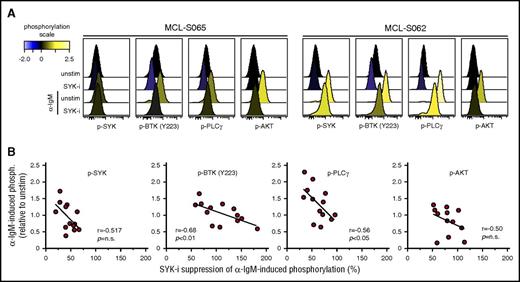 Figure 6. Efficacy of SYK-inhibitor fostamatinib to suppress α-BCR–induced signaling depends on BCR signaling strength in MCL tumors. Samples from 13 MCL patients were left untreated or were treated with the SYK-inhibitor fostamatinib (SYK-i, 2.5 μM) for 1 hour, prior to α-BCR stimulation for 4 minutes. The cells were stained with lineage-specific markers and phosphospecific Abs as earlier described. (A) Histogram overlays of p-SYK, p-BTK, p-PLCγ, and p-AKT for lymphoma cells treated with fostamatinib, α-IgM or α-IgM + fostamatinib, relative to unstimulated (untreated) cells. (B) Scatter plots of α-IgM–induced phosphorylation vs percentage of fostamatinib suppression of α-IgM–induced phosphorylation levels for SYK, PLCγ, BTK (Y223), and AKT. Each dot represents a MCL patient sample (n = 13). Correlations were calculated by the Spearman rank test.