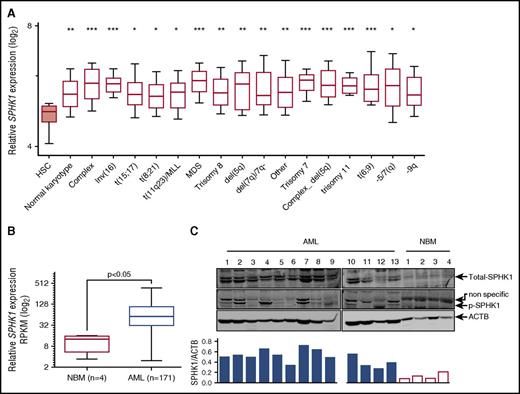 Figure 1. SPHK1 is overexpressed in AML. (A) Microarray analysis of SPHK1 mRNA levels from FACS-purified HSCs (Lin−/CD34+/CD38−/CD90+/CD45RA−) and AML cells from various cytogenetic subgroups obtained from BloodSpot (median, 25 to 75 percentiles boxed, and 10 to 90 percentiles shown with bars).22 Significance was assessed by Student t test (*P < .05; **P < .01; ***P < .001) for HSCs compared with all AML subtypes shown. (B) Normalized RNA-Seq reads (reads per kilobase per million mapped reads; RPKM) for SPHK1 from primary AML patient samples (n = 171) and normal bone marrow samples (n = 4) were obtained from TCGA and the Human Protein Atlas, respectively. Significance was assessed by Student t test (P < .05). (C) Primary AML blasts or normal bone marrow MNCs where lysed and subjected to sodium dodecyl sulfate polyacrylamide gel electrophoresis followed by western blot analysis of total SPHK1 and phospho-Ser225 SPHK1. Western blot results were quantified by laser densitometry and expressed as the ratio of SPHK1/ACTB.