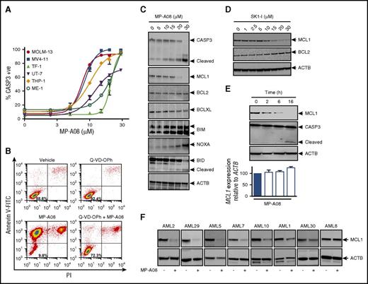 Figure 5. SPHK1 inhibition induces caspase-dependent cell death through MCL1 suppression in AML cell lines and primary human AML blasts. (A) AML cell lines MOLM-13, MV4-11, TF-1, UT-7, THP-1, and ME-1 were treated with increasing doses of MP-A08 for 48 hours, and caspase-3 activity was measured by substrate cleavage of NucViewTM488 (Biotium) and quantified by flow cytometry. Results are mean ± range. (B) MV4-11 cells were preincubated for 1 hour with the pan-caspase inhibitor Q-VD-OPh (25 μM) and subsequently treated with MP-A08 (30 μM) for 24 hours prior to analysis of cell survival by annexin V/PI staining. MV4-11 cells were incubated with increasing doses of MP-A08 (C) or SK1-I (D) for 16 hours following which whole cell lysates were immunoblotted with the indicated antibodies. (E) MV4-11 cells were incubated with MP-A08 (20 μM) for the indicated time following which whole cell lysates were immunoblotted with the indicated antibodies or MCL1 mRNA levels determined using quantitative RT-PCR (mean ± SEM, n = 3). (F) Primary AML blasts were incubated with 30 μM of MP-A08 for 16 hours following which whole cell lysates were immunoblotted with the indicated antibodies.