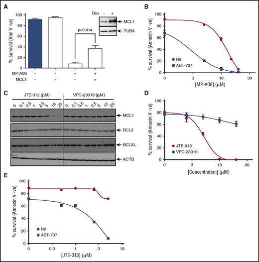 Figure 6. Targeting SPHK1 survival signaling synergizes with BH3 mimetics to induce cell death in AML. (A) MV4-11 cells were transduced with a doxycycline-inducible lentiviral vector to overexpress MCL1. Cells were then exposed to 1 µg/mL doxycycline and 24 hours postinduction treated with 30 μM of MP-A08 for 24 hours, and cell survival was determined by annexin V/PI staining. Results are mean ± SEM, n = 3. Immunoblot analysis of whole cell lysates with anti-MCL1 antibodies 24 hours postinduction confirmed doxycycline-inducible MCL1 expression. (B) MV4-11 cells were treated with increasing doses of MP-A08 in the presence (▪) or absence (●) of 10 nM ABT-737, and cell survival was quantified at 24 hours by annexin V/PI staining. Results are mean ± SEM, n = 3. (C) MV4-11 cells were treated with increasing doses of the S1PR2 antagonist JTE-013 or the S1PR1/3 antagonist VPC-23019 for 6 hours following which whole cell lysate were immunoblotted with the indicated antibodies. (D) MV4-11 cells were treated with increasing doses of JTE-013 (●) or VPC-23019 (▪), and cell survival was quantified at 48 hours by annexin V/PI staining. Results are mean ± SEM, n = 3. (E) MV4-11 cells were treated with increasing doses of JTE-013 in the presence (▪) or absence (●) of 10 nM ABT-737, and cell survival was quantified at 48 hours by annexin V/PI staining. Results are mean ± range. Significance was assessed by Student t test.