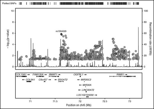 Figure 2. Regional plot of chromosome 6 target region with association P values of stage I analysis. GWAS SNPs and imputed SNPs with association P values <.05 are plotted in their genomic context using LocusZoom. SNP rs1304029 is highlighted by a filled diamond symbol.