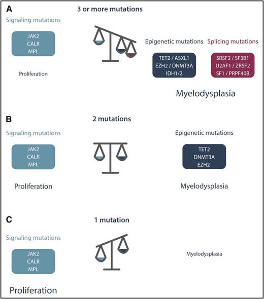 Figure 5. Presence of myeloproliferative and myelodysplastic features in MPN. (A-C) The 3 MPN-restricted drivers lead to a myeloproliferative phenotype. All of the additional mutations in genes involved in epigenetics and splicing modify the differentiation and give a myelodysplastic phenotype even if some of them such as TET2, DNMT3A, and EZH2 clearly play an important role in initiation. Moreover, there are additional mutations involved in splicing that induce myelodysplastic features leading to MF, cytopenia, and eventually progression to leukemia. Professional illustration by Somersault18:24.