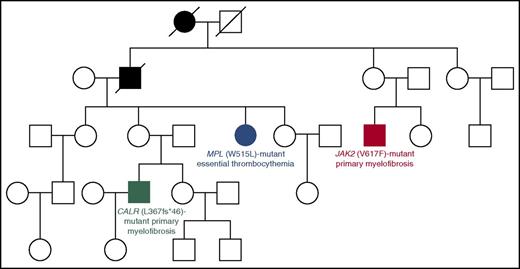 Figure 2. Four-generation Australian pedigree with different types of familial MPNs associated with different driver mutations. Full symbols indicate affected individuals. In this pedigree, a germ line mutation (R1569H) in the RBBP6 gene segregated with an MPN phenotype. The RBBP6 protein is a RING finger E3 ubiquitin ligase that contributes to ubiquitinate and degrade p53 in association with MDM2: mutant RBBP6 may cause an elevation in somatic mutagenesis rates through inhibition of p53 function and deregulation of cell cycle. The fact that individuals with the germ line mutation acquired somatic mutations in different genes supports the notion of genetic predisposition. Modified from Harutyunyan et al39 with permission.