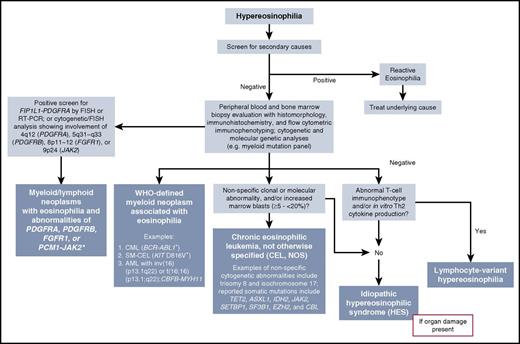 Figure 1. Diagnostic algorithm for HE incorporating 2016 WHO categories of eosinophilia-associated neoplasms. In patients presenting with HE, we recommend an initial work-up to rule out reactive (secondary) causes. If this work-up is negative, parallel or sequential testing for a primary (clonal) eosinophilia should be undertaken. Evaluation includes morphologic analysis of the peripheral blood and BM, immunohistochemistry (eg, CD117, tryptase, and CD25 in systemic mastocytosis), flow cytometric immunophenotyping to assess the presence of myeloid, B- and/or T-lymphocyte markers, and cytogenetic/molecular/genetic testing. As shown in the algorithm, this combination of clinicopathologic and molecular testing can help identify a specific neoplasm and the WHO category within which it resides (shown in blue-colored boxes). Idiopathic HES is a diagnosis of exclusion and requires the presence of organ damage. HES is considered a provisional diagnosis until a cause of HE is discovered. *The provisional variants ETV6-JAK2 and BCR-JAK2 are also included in this category. Figure modified from: Gotlib J, Cools J, Malone JM 3rd, et al. Blood. 2004;103(8):2879-2891.