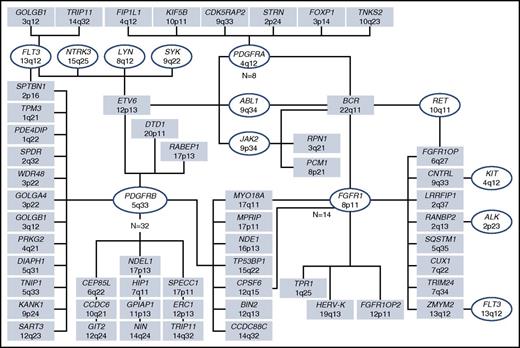 Figure 3. TK fusion genes in myeloid/lymphoid neoplasms with eosinophilia. As of October 2016, 72 tyrosine kinase fusion genes have been described. In conjunction with cytogenetic/fluorescence in situ hybridization and genetic testing, morphologic evaluation and flow cytometric immunophenotyping is required to identify whether such molecular abnormalities are associated with an acute or chronic myeloid neoplasm and/or a B- or T-cell lymphoblastic leukemia/lymphoma. Figure courtesy of Professor Nicholas C. P. Cross.