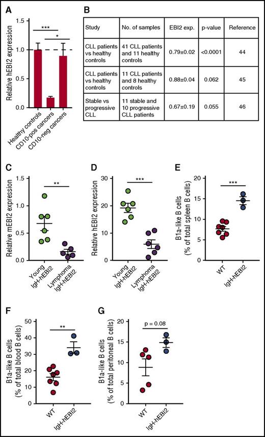 Figure 7. Expression of EBI2 in lymphoma patients. (A) qPCR analysis of EBI2 transcript levels in CD10+ and CD10− cancers relative to the mean expression level of the healthy control samples. The cDNA samples in the array had been prenormalized to β-actin. The results are mean ± SEM of data from 6 to 14 samples. *P < .05 and ***P < .001 by Student t test. (B) Expression data on EBI2 expression in CLL patients compared with healthy controls. Expression data from Gene Expression Omnibus (GEO) profiles reprinted from Gutierrez et al,45 Gutiérrez et al46 with permission, and Fält et al47 with permission. (C) qPCR analysis of mEBI2 transcript levels in spleen cells from young (12-15 weeks) and older, lymphoma IgH-hEBI2 mice relative to the expression of the control gene GAPDH. The results are mean ± SEM of data from 5 to 6 mice. **P < .01 by the nonparametric Mann-Whitney test. (D) qPCR analysis of hEBI2 transcript levels in spleen cells from young (12-15 weeks) and older, lymphoma IgH-hEBI2 mice relative to the expression of the control gene GAPDH. The results are mean ± SEM of data from 5 to 6 mice. ***P < .001 by the nonparametric Mann-Whitney test. (E-G) The B1a cell subsets in spleen (E), blood (F), and peritoneal cavity (G) samples from 4-day-old WT and IgH-hEBI2 mice were analyzed by FACS. The number of B1 B cells is given as percentage of total lymphocytes in the samples. The results are mean ± SEM of data from 3 to 7 mice. **P < .01 and ***P < .001 by Student t test.
