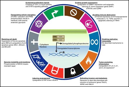 Figure 3. NPM-ALK achieves most of the “Hallmarks of Cancer.” NPM-ALK is the protein product of a chromosomal translocation. Through activation of T-cell signaling pathways and dysregulation of the phosphoproteome, NPM-ALK drives the transformation of T cells into ALK+ ALCL by multiple oncogenic mechanisms. Diagram modified from Hanahan and Weinberg.73 (*) According to Lai and Ingham.74