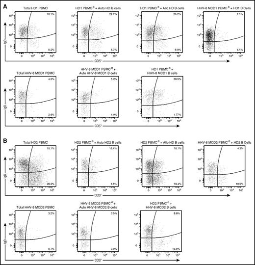 Figure 6. iNKT cells are required to maintain CD27+ IgD+/− memory B cells in culture. B cells from HDs were isolated by negative selection, cocultured with allogeneic B cell–depleted PBMCs from patients with HHV-8 MCD, and stimulated for 7 days with α-GalCer and IL-2. Alternatively, negative isolated B cells from patients with HHV-8 MCD were cultured with allogeneic B cell–depleted PBMCs from HDs. As controls, B cells from HDs were cultured with allogeneic and autologous B cell–depleted PBMCs from HDs and B cells from patients with HHV-8 MCD were cultured with autologous B cell–depleted PBMCs derived from patients with HHV-8 MCD. Cells were stained with CD19, CD20, CD27, IgD, and IgM to identify B-cell subsets. Representative flow cytometry plots of B-cell analysis showing the frequencies of CD27+ IgD+ and CD27+ IgD− B cells at day 7 from HDs and patients with HHV-8 MCD in 2 independent experiments, HD1/HHV-8 MCD1 (A) and HD2/HHV-8 MCD2 (B).