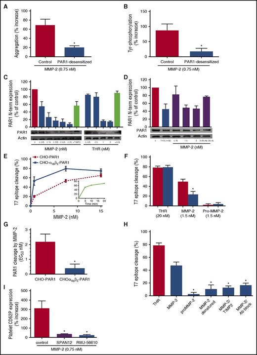 Figure 1. MMP-2 cleaves the PAR1 N-terminal domain. (A) Control or PAR1-desensitized platelets were pretreated with active MMP-2 (0.75 nM) for 5 minutes and then activated with a subthreshold dose of the PAR4 agonist peptide, and aggregation was followed for 5 minutes. Results are expressed as percent increase of aggregation over agonist alone. Data represent means ± SEM (n = 3); *P < .05 vs control. (B) Control or PAR1-desensitized platelets were pretreated with active MMP-2 (0.75 nM) for 5 minutes and then activated with a subthreshold dose of PAR4 agonist peptide. Tyr phosphorylation was assessed by western blotting, and bands were measured using QUANTISCAN software. Data represent means ± SEM (n = 3); *P < .05 vs control. (C) Gel-filtered platelets were treated for 10 minutes with thrombin (0.075-3 nM) or MMP-2 (0.075-0.75 nM) in the absence or presence of hirudin (HIR; 3 U/mL) or TIMP-2 (1 µg/mL), respectively, at 37°C. PAR1 N-terminus (N-term) expression was assessed by western blotting, and bands were measured using QUANTISCAN software. Data represent means ± SEM (n = 3). (D) Platelet-rich plasma was treated for 10 minutes with thrombin (0.1 nM), in the presence of GPRP (2.5 mM) or MMP-2 (0.75-3 nM), in the absence or presence of a monoclonal antibody blocking MMP-2 (MoAb Block), at 37°C. PAR1 N terminus expression was assessed by western blotting, and bands were measured using QUANTISCAN software. Data represent means ± SEM (n = 3). (E) CHO cells stably expressing αIIbβ3 (CHO-αIIbβ3-PAR1), or not (CHO-PAR1), were transiently transfected with T7-tagged WT PAR1, incubated with increasing concentrations of active MMP-2 for 20 minutes at 37°C, and stained with saturating concentrations of mouse anti-T7 tag. In the inset, CHO cells expressing αIIbβ3 and PAR1 were incubated with MMP-2 (1.5 nM) for increasing periods of time. Loss of T7 epitope was assessed by flow cytometry. Data represent means ± SEM (n = 4). (F) CHO cells stably expressing αIIbβ3 (red columns) or not (blue columns) were transiently transfected with T7-tagged PAR1 and incubated for 20 minutes at 37°C with thrombin (20 nM) or active MMP-2 or pro-MMP-2 (1.5 nM). Loss of T7 epitope was assessed by flow cytometry. Data represent means ± SEM (n = 5); *P < .05 vs CHO-PAR1. (G) EC50 of MMP-2-induced cleavage of PAR1 in CHO cells expressing only PAR1 (CHO PAR1) or both αIIbβ3 and PAR1 (CHO-αIIbβ3-PAR1). Data represent means ± SEM (n = 3); *P < .05 vs CHO- PAR1. (H) CHO-αIIbβ3 cells expressing T7-tagged PAR1 were incubated with thrombin (20 nM), active MMP-2 (1.5 nM), pro-MMP-2, heat-denatured MMP-2, MMP-2 inhibited with TIMP-2 (47.5 nM), or MMP-2 inhibited with a blocking anti–human MMP-2 monoclonal antibody (4 µg/mL) for 20 minutes at 37°C. Loss of T7 epitope was assessed by flow cytometry. Data represent means ± SEM (n = 4); *P < .05 vs MMP-2. (I) Gel-filtered platelets were preincubated with active MMP-2 (0.75 nM) for 5 minutes and then activated with a subthreshold dose of TRAP-6 (2 µM) in the presence of the monoclonal antibody SPAN12, an immunoglobulin G isotype antibody control (control), or the PAR1 antagonist RWJ-56610 (1 µM). Results are reported as percentage increase CD62P expression vs TRAP-6. Data represent means ± SEM (n = 5); *P < .05 vs control.