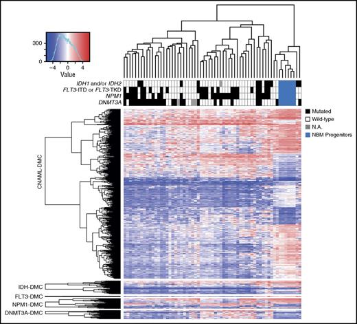 Figure 2. The majority of enhancer DMCs are independent of somatic mutations. DMCs have been tested by comparing either the total CN-AML cohort to normal bone marrow (NBM) progenitors or mutated vs wild-type CN-AML patients. Supervised hierarchical clustering was performed on enhancer DMCs (in rows), whereas individual samples were clustered unsupervised (in columns). Each mutation has been tested separately among CN-AML patients, and the heat map shows mutation-related enhancer DMCs as being mutually exclusive from enhancer DMCs of general CN-AML. The color key provides the mutational status of each patient. M-value of each DMC probe is color-coded for density (blue to red). N.A., not analyzed.