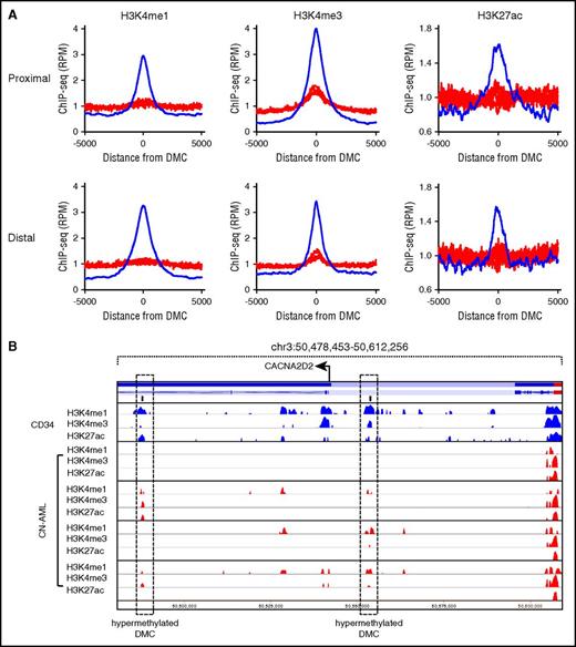 Figure 4. Loss of active histone marks at hypermethylated sites. (A) Hypermethylated DMCs show reduced enrichment of active marks H3K4me1, H3K4me3, and H3K27ac in AML (red) at both TSS proximal and TSS distal DMCs relative to CD34+ cells (blue). (B) Hypermethylated TSS distal DMCs within and adjacent to the CACNA2D2 gene locus. Loss of H3K4 methylation and H3K27 acetylation is observed in AML samples at the sites of hypermethylation.