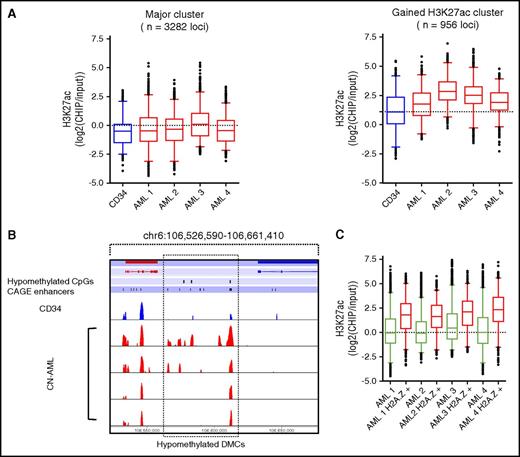 Figure 5. Activation of a subset of hypomethylated TSS distal DMCs in CN-AML patients. (A) Hierarchical clustering of hypomethylated TSS distal DMCs for H3K27ac revealed 2 distinct clusters showing either no activation (n = 3282) or a gain of histone acetylation (n = 956) in AML patients. (B) TSS distal DMCs overlapping with enhancers showing increased H3K27ac in AML. (C) H3K27ac at TSS distal hypomethylated DMCs not overlapping H2A.Z ChIP-seq peaks (green) or overlapping H2A.Z peaks (red).