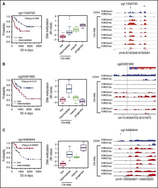 Figure 8. DNA methylation at CAGE enhancers is correlated with survival in CN-AML. (A-C) Variably methylated CpG probes (A) cg11334730, (B) cg20281962, and (C) cg14484844) that occur in CAGE enhancer regions in CN-AML patients. Each example showing (from left to right) Kaplan-Meier curves, DNA methylation plots, and active histone mark ChIP-seq profiles for 1 normal CD34+ and 4 independent CN-AML patients. CN-AML patients were categorized into low (β <0.2), intermediate (0.2 < β<0.8), or high (β >0.8) DNA methylation subcategories. Statistical significance was determined by using the log-rank test. DNA methylation levels are plotted against mature and progenitor cells. Active histone marks are displayed for the surrounding area for each probe marked with a gray vertical line.