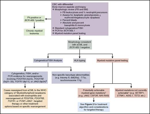 Figure 1. Diagnostic evaluation for aCML and identification of opportunities for targeted therapy. If a morphologic diagnosis of aCML is rendered, cytogenetic, FISH, and myeloid mutation panel testing are critical as they can unmask karyotypic or molecular abnormalities that have potential implications for use of targeted therapy approaches. *, The ability to target certain genes is expected to change over time as new therapeutics are developed. §, Additional JAK2 rearrangements besides the PCM1-JAK2 fusion may present with morphologic features of aCML. BM, bone marrow; PB, peripheral blood; PCR, polymerase chain reaction.