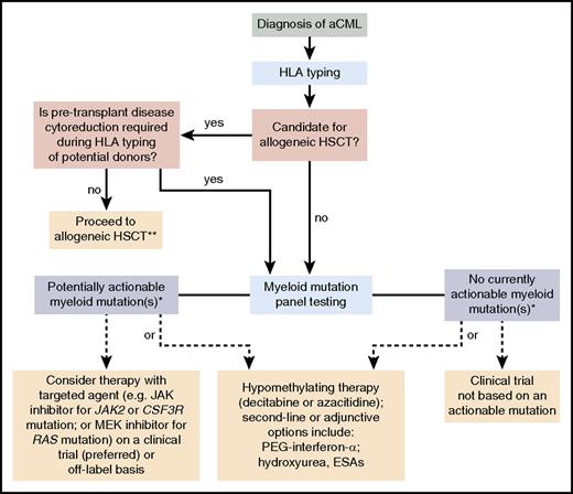 Figure 2. Treatment algorithm for aCML. Please refer to “Treatment” for a discussion of this treatment scheme for aCML. This algorithm is based on several decision nodes, including the following: (1) potential candidacy for allogeneic hematopoietic stem cell transplantation (HSCT); (2) the results of myeloid mutation panel testing; (3) eligibility for enrollment in clinical trials; and (4) opportunities to adopt strategies used for MDS or MPN (eg, hypomethylating agents or second-line/adjunctive therapies). ESAs, erythropoiesis-stimulating agents. *, The ability to target certain genes is expected to change over time as new therapeutics are developed. **, Myeloid mutation panel testing may also be performed prior to patients proceeding directly to allogeneic HSCT who do not require pretransplant disease cytoreduction.