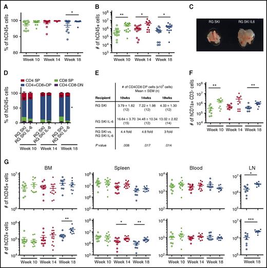 Figure 2. Human CD45+ hematopoietic cell and T-lymphocyte development in RG SKI (open dots) and RG SKI IL-6 mice (closed dots). The frequency (A) and number (B) of human hematopoietic (hCD45+) cells in the thymus (n = 12-15 per group) were compared at 10, 14, and 18 weeks (C). Representative image of thymus size at week 14. (D) Comparison of frequencies of immature DN (CD4−CD8−), immature DP (CD4+CD8+), and mature SP (CD4+CD8− and CD4−CD8+) subpopulations in RG SKI and RG SKI IL-6 mice. (E) Comparison of the absolute numbers of DP thymocytes at different time points. (F) Comparison of absolute numbers of human T-cell commitment progenitor cells in the thymus. (G) Numbers of human CD45+ and CD3+ cells in BM, spleen, blood (per μL), and LN (left to right) were compared after 10 to 18 weeks (n = 8-12 per group). Because LNs start to appear in ∼15-week-old humanized mice, LN data were only obtained at week 18. Each dot represents 1 mouse. Horizontal bars indicate mean ± SEM. Two independent experiments were performed and the results were pooled. Data were analyzed by one-way ANOVA and unpaired Student t test. Individual P values for posttest are displayed. *P < .05; **P < .01; ***P < .001. DN, double-negative; DP, double-positive; SEM, standard error of the mean; SP, single-positive.