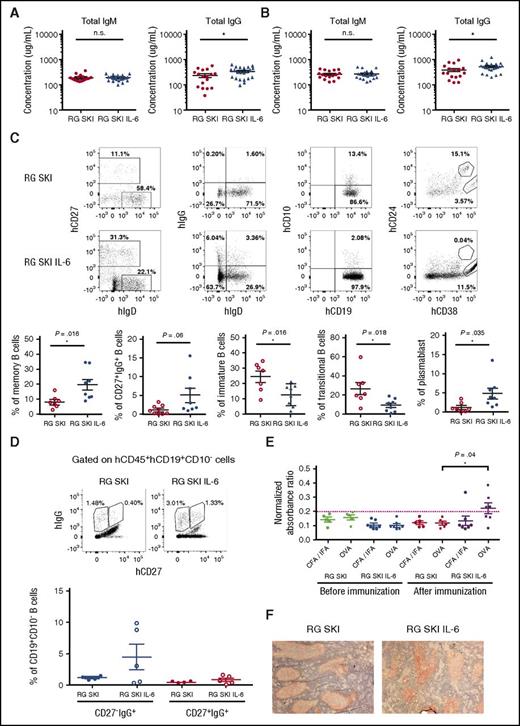 Figure 4. Improved total IgG and antigen-specific IgG responses in RG SKI IL-6 mice. (A) Concentration of total hIgM and hIgG in sera. (B) Humanized mice were immunized with OVA as described in “Materials and methods.” Concentration of total hIgM and hIgG in sera were shown after immunization. The data represent the mean ± SEM (n = 17-22 per group). (C) Spleen cells were collected and analyzed after immunization. Gates used for identification of human memory, IgG+, immature, transitional, or plasmablast B cells by flow cytometry based on the expression of hCD27, hIgG, hCD10, hCD24, and hCD38 (top). The relative abundance of each B-cell subset is compared between two mouse strains (bottom). (D) Gates used for identification of CD27−IgG+ and CD27+IgG+ B cells (top). The relative abundance of each cell subset is compared between two mouse strains (bottom). (E) Representative ELISA results from humanized mice with serum sample dilutions of 1:100. Data were presented as normalized absorbance ratio by dividing the OD value of antigen-specific IgG with the OD value of total IgG in each mouse to exclude the variation between the individual animals. The dotted line represents the cutoff value (cut off value = mean OD values of the negative control + 2 × SD). Negative control is the mean OD value of OVA-specific IgG of RG SKI and RG SKI IL-6 mice before the immunization. (F) Histologic examination of spleen tissues from engrafted mice. Sections were stained with hematoxylin and hCD20 (stained in red). All the data were analyzed by unpaired Student t test. *P < .05; **P < .01; ***P < .001. OD, optical density; SD, standard deviation.
