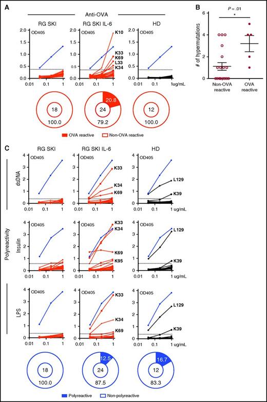 Figure 6. Human IL-6 promotes the generation of antigen-specific IgG-switched B cells in humanized mice. A total of 18, 24, and 12 antibodies cloned from IgG+ B cells in OVA-immunized RG SKI mice, RG SKI IL-6 mice, and control HD were tested by ELISA for OVA reactivity (A) and polyreactivity (C). Blue lines represent a mouse anti-OVA specific antibody (TOSG1C6) in (A) or polyreactive ED38 clone in (C). Except for the purified TOSG1C6 clone, all other tested antibodies are collected from cell culture supernatants. Solid black lines represent antibodies cloned from HD and solid red lines represent recombinant antibodies cloned from either immunized RG SKI or RG SKI IL-6 mice. Reactive antibodies are indicated by IgL designation followed by clone number. Horizontal dotted lines define the cutoff OD405nm for positive reactivity. The cutoff OD value was determined as twice the value of the average OD when all clones from RG SKI mice were pooled. The frequency of reactive (black area) and nonreactive (white area) clones is summarized in pie charts, with the total number of clones tested indicated in the center. (B) Increased IGHV mutation numbers in OVA-reactive vs non-OVA reactive clones from immunized RG SKI IL-6 mice. *P < .01. HD, healthy donors; OD, optical density.