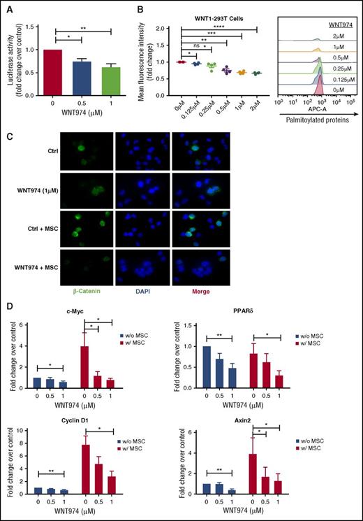 Figure 1. WNT974 antagonizes the Wnt signaling pathway in human CML stem/progenitor cells. (A) Wnt secretion was evaluated in WNT1-MSC cultured in the presence of WNT974 for 24 h. Conditioned medium was harvested and added onto 293T-BAR reporter cells. WNT-β-catenin transcriptional activity was then evaluated after a further 24 h (n = 5). (B) HEK 293T cells overexpressing Wnt-1 were treated with WNT974, metabolically labeled with azide-containing palmitic acid and modified palmitoylated proteins detected by labeling with alkyne-containing APC dye using flow cytometry (n = 4). (C) CML CD34+ cells were cultured in the presence or absence of human MSC in the presence of WNT974 for 48 h, and immunofluorescence microscopy was performed. CML CD34+ cells labeled with antibodies to β-catenin (green) and DAPI (blue) are shown. Two samples were studied. All scale bars represent a size of 10 µM, and at least 200 cells were analyzed for each sample. (D) qPCR analysis for mRNA expression of Wnt target genes in CML CD34+ cells (n = 5) cultured as in panel A. Error bars represent mean ± SEM. Ctrl, control; ns, not significant; PPAR, peroxisome proliferator-activated receptors. *P < .05; **P < .01; ***P < .001; ****P < .0001.