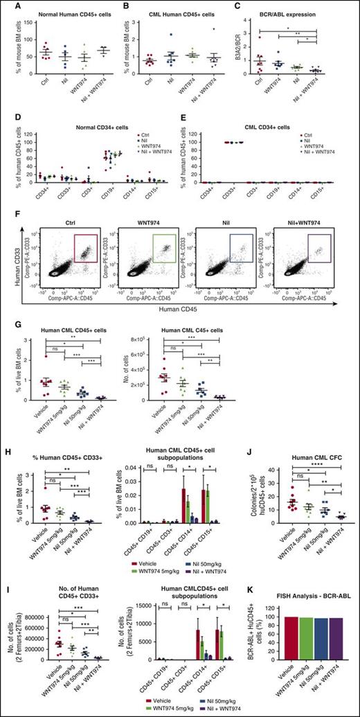Figure 3. WNT974 in combination with nilotinib inhibits the long-term engraftment of human CML stem cells in immunodeficient mice without affecting normal stem cells. Normal (1 × 105 cells per mouse) and CML 34+ cells (2 × 106 cells per mouse) were cultured in the presence of MSC and treated with nilotinib (Nil) (1 µM), WNT974 (1 µM), or both, or were untreated for 4 days; they were then transplanted into NSG mice (6-8 mice per group). Mice were killed after 16 weeks, and bone marrow (BM) content of femurs was obtained. Graph showing normal human CD45+ cell engraftment in BM (A); human CML CD45+ cell engraftment in BM (B); BCR-ABL mRNA levels in CML CD45+ cells engrafted in BM (C); lineage marker expression of normal CD45+ hematopoietic cells engrafted in BM (D); and lineage marker expression of CML CD45+ hematopoietic cells engrafted in BM (E). In a second experiment, CML CD34+ cells were transplanted into sublethally irradiated NSG mice, and 3 weeks posttransplantation, mice were treated with NIL (50 mg/kg), WNT974 (5 mg/kg), or the combination of these for 3 weeks. Representative results of fluorescence-activated cell sorter analysis of BM cells (F), frequency and absolute number of total human CD45+ cells (G), and aggregate results of the percentage (H) and absolute number (I) of human myeloid progenitors and lineage marker expression in the BM from treated mice are shown. (J) Human CD45+ cells were selected and plated in CFC assays. (K) FISH analysis was performed on interphase nuclei of 200 CD45+ cells from each treatment arm. Error bars represent mean ± SEM. *P < .05; **P < .01; ***P < .001; ****P < .0001.