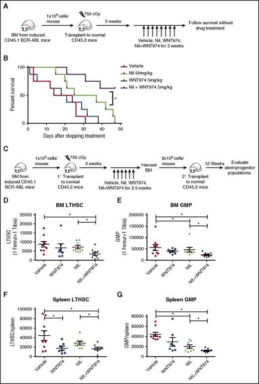 Figure 5. WNT974 in combination with nilotinib significantly inhibits regeneration of CML LTHSC after second transplant and prolongs the survival of BCR-ABL mice. (A) BCR-ABL expression was induced in SCL-tTA-BCR-ABL mice by tetracycline withdrawal. BM cells were obtained 3 weeks after induction and transplanted into wild-type FVB/N recipient mice irradiated at 750 cGy (106 cells/mouse; 6-8 mice/group). Three weeks posttransplantation, treatment with vehicle, nilotinib (50 mg/kg), WNT974 (5 mg/kg), or a combination was initiated and continued for 3 weeks. (B) Mice were followed after discontinuation of treatment. (C) BM cells from mice receiving different treatments as described in Figure 4 were pooled and transplanted (2 × 106 cells per mouse; 8-9 mice/group) into wild-type irradiated FVB/N recipient mice for secondary transplantation. Mice were killed after 12 weeks, and the number of BM LTHSC (D), GMP (E), splenic LTHSC (F), and GMP (G) were analyzed. Error bars represent mean ± SEM. *P < .05.