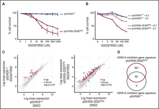 Figure 2. Mouse T-ALL cell lines with high ZEB2 levels are sensitive to KDM1A inhibition. (A) Leukemic cell survival of P53/R26-Zeb2tg/tg Zeb2 overexpressing mouse T-ALL cell lines compared with control P53/R26+/+ cell lines treated with different concentrations of the KDM1A inhibitor GSK2879552 for 4 days. The average of 3 independent experiments and standard deviation is plotted. (B) Effects of exogenous IL-7 on the KDM1A inhibitor-induced cell death observed in P53/R26-Zeb2tg/tg Zeb2 overexpressing mouse T-ALL cell lines. Average of technical triplicates are plotted. Similar effects are observed with the second independent mouse T-ALL cell lines. (C) Differential gene expression after KDM1A inhibition (24 hours, 100 nM GSK2879552) in P53/R26+/+ and P53/R26-Zeb2tg/tg mouse T-ALL cell lines (adjusted P value <.05, triplicates). (D) Overlap between the KDM1A responsive gene signatures in P53/R26+/+ and P53/R26-Zeb2tg/tg mouse T-ALL cell lines.