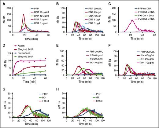 Figure 2. hnDNA and individual human histone H3 and H4 trigger coagulation in plasma. TG in recalcified normal PFP (A) and normal PRP (B) containing hnDNA. TG in recalcified FXII-deficient (FXII-Def), FXI-deficient (FXI-Def), or FVII-deficient (FVII-Def) PFP in the presence or absence of 30 µg/mL of hnDNA (C). No TG was observed in any individual deficient plasma after recalcification in the absence of DNA, represented by a single flat curve (PFP no DNA, panel C). Quantification of FXIa-AT after activation of the contact system by hnDNA in the synthetic contact system activation assay as described in “Methods” (D). TG in recalcified PRP containing recombinant human histone H3 (rH3) (E) or recombinant human histone H4 (rH4) (F). Effect of citrullination of histones H3 (G) and H4 (H) on TG in recalcified PRP. All the figures are representative of at least 3 independent experiments.