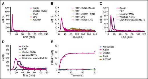 Figure 3. Human intact NETs do not trigger coagulation in plasma or in a purified contact system. (A) TG in recalcified PFP containing unstimulated neutrophils (Unstim PMNs) or NETs prepared by stimulation of normal human neutrophils with PMA (600 nM), ionophore (A23187; 5 µM), or LPS (5 µg/mL) (B). TG was performed in recalcified plasma containing LPS-induced NETs in the presence of platelets (200 000/µL). TG was performed in PFP (C) and PRP (D) unstimulated neutrophils, washed NETs, or DNA purified from the same amount of washed NETs. NETs were washed to remove PMA or ionophore before being added to plasma (see “Methods”). Quantification of FXIa-AT in the SCSA in the presence of NETs (E). All figures are representative of at least 3 independent experiments. LPS, lipopolysaccharide.