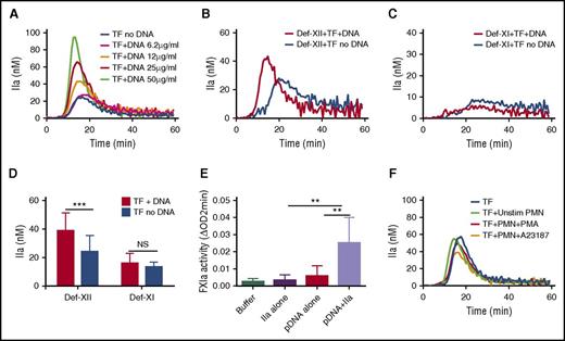Figure 4. Purified hnDNA enhances low-concentration TF–initiated TG by amplifying thrombin-dependent FXI activation. Amplification effect of hnDNA on TG triggered by 1 pM TF in PFP (A) or in FXII-deficient plasma (Def-XII; 25 μg/mL hnDNA) (B) or in FXI-deficient plasma (Def-XI; 25 μg/mL hnDNA) (C). (D) Comparison of peak TG (mean + standard deviation) in the presence or absence of 25 μg/mL hnDNA in FXII- or FXI-deficient plasma. (E) Amplification effect of 50 μg/mL hnDNA on FXIa generation following 10 nM α-thrombin (IIa)–dependent activation of 30 nM FXI in the presence of physiologic concentration of HMWK in buffer. (F) Absence of an amplification effect of intact NETs on 1 pM TF-initiated TG in PFP. A23187, ionophore (5 μM); PMN, human neutrophils. PMA (600 nM). Panels A-C and F are representative of independent experiments performed at least 3 times. Mean values for 3 independent experiments in panels C and D.