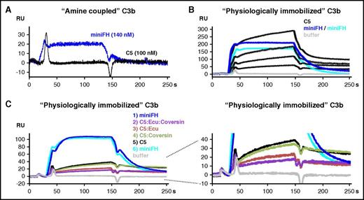 Figure 3. SPR analysis of C5 binding to C3b. (A) Binding of C5 and mini-FH to C3b immobilized on a carboxymethyldextran-coated sensor chip by amine coupling (800 RUs). Mini-FH at a concentration of 140 nM or C5 at 100 nM was applied to the C3b surface (reference-subtracted responses are shown throughout). (B) C5 binding to “physiologically,” convertase-immobilized C3b. C3 convertases were assembled onto the amine coupled C3b sensor chip followed by flow of C3, which becomes activated in situ and binds covalently. According to this procedure, another 900 RUs of C3b were immobilized in a physiological manner via the convertase onto the 800 RUs of amine-coupled C3b. Mini-FH was assayed at 1.5 µM in 2 consecutive injections (2 overlaid dark blue curves), followed by C5 at 1.1, 0.6, 0.3, and 0.1 µM (black curves) and then another injection of mini-FH at 1.5 µM (cyan). The lower amount of RUs achieved for the third injection of mini-FH indicates that the C3b surface was not completely regenerated after being exposed to higher C5 concentrations. (C) As in panel B, but analytes were injected in the following sequence: mini-FH at 140 nM, C5 at 110 nM mixed with both eculizumab at 1.7 µM and coversin at 1.7 µM (C5/eculizumab /coversin), C5/eculizumab (110 nM:1.7 µM), C5/coversin (110 nM:1.7 µM), and C5 alone at 110 nM. The C5 inhibitors themselves did not bind to the sensor chip (not depicted). Ecu, eculizumab.