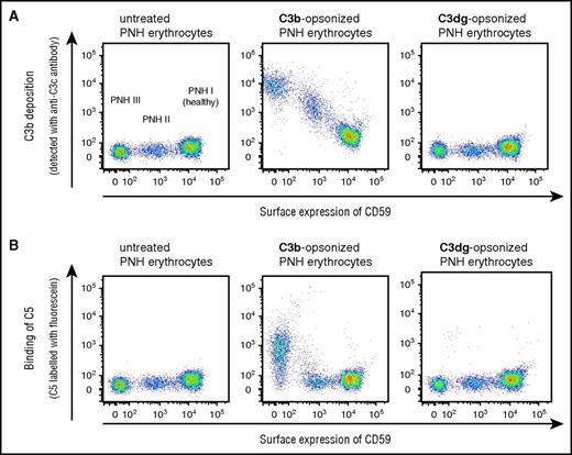Figure 4. FACS analysis of C5 binding to PNH-RBCs loaded with C3b or C3dg. PNH-PBCs were loaded with C3b in human factor I–depleted serum under combined C5 inhibition (with eculizumab and coversin) to allow for efficient C3b opsonization without lysis. A portion of the C3b loaded cells were exposed to factor I to allow for processing of the surface-bound C3b to C3dg. (A) Correlation of C3b deposition levels with PNH subtype. Detection of expression levels of CD59 (x-axis) allows classification of PNH-RBCs in type I (normal CD59 levels), type II (reduced level), and type III erythrocytes (absence of CD59). C3b deposition (y-axis) is more pronounced for type III PNH-RBCs than for type II or type I. (B) Correlation of C5 binding with C3b surface levels. C5 binding on PNH-RBCs coincides with high C3b density (1 representative assay from 2 independent experiments is shown).