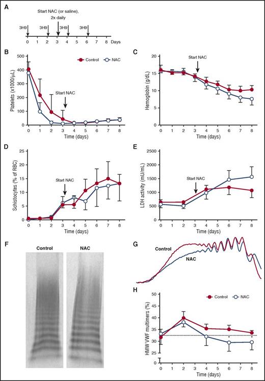 Figure 4. NAC treatment does not resolve TTP signs in the preclinical baboon model. (A) Anti-ADAMTS13 antibody 3H9 was injected on days 0, 2, 4, and 6, directly after blood withdrawal. NAC (400 mg/kg) treatment was initiated (large arrow) after blood withdrawal on day 3 and continued twice daily at 12-hour intervals up to day 8 (n = 4; open blue circles). Control baboons were injected with equal volumes of saline (n = 4; solid red circles). (B-C) Platelet count (B) and hemoglobin level (C) were determined daily. (D) Blood smears were made, and the number of schistocytes as a percentage of total red blood cells was counted manually. (E) LDH activity levels were determined. (F) Representative image of the VWF multimers in blood taken from control baboons and NAC-treated baboons on day 7. (G) Densitometric analysis was performed, and the two traces from the VWF multimers in panel F are shown. (H) Using densitometric analysis, the percentage of HMW VWF multimers was quantified for control baboons and NAC-treated baboons. Graphs represent the mean and standard deviation. Statistical significance is indicated with an asterisk: *P < .05.