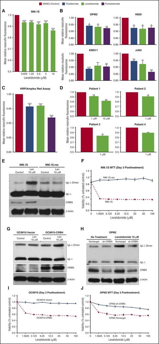Figure 2. Lenalidomide inhibits intracellular H2O2 decomposition in MM cells. (A) MM.1S cell line was pretreated with Amplex Red (50 μM) and incubated with increasing concentrations of lenalidomide (0.625-10 μM) or dimethyl sulfoxide (DMSO; control) for 90 minutes before fluorescence intensity was measured. (B) IMiDs inhibit intracellular H2O2 decomposition in HMCLs. Cells were pretreated with Amplex Red (50 µM) and incubated with thalidomide (20 µM), lenalidomide (20 µM), pomalidomide (10 µM), or DMSO (control) for 40 to 90 minutes. All IMiDs inhibited intracellular H2O2 decomposition in HMCLs. (C) IMiDs inhibit HRP-mediated decomposition of H2O2 in an in vitro assay. Thalidomide, lenalidomide, or pomalidomide (10 µM for all) or DMSO (control) was incubated with HRP, Amplex Red, and H2O2 (5 µM) for 30 minutes before fluorescence intensity was measured. (D) Lenalidomide inhibits intracellular H2O2 decomposition in samples from patients with primary MM. CD138+ samples were pretreated with Amplex Red (50 μM) and incubated with lenalidomide (1 or 10 μM) or DMSO (control) for 90 minutes. Data are shown as mean ± SEM, n = 4 biological repeats. (E) Lenalidomide-sensitive (MM.1S) and lenalidomide-resistant (MM.1S.res) cell lines were treated with lenalidomide for 3 days. Cell lysates were prepared under nonreducing conditions; protein lysates were separated by electrophoresis under nonreducing conditions (without DTT) and immunoblotted as indicated. (F) MM.1S and MM.1S.res cells were seeded and incubated with lenalidomide at the indicated concentration for 3 days, and MTT assays were performed. Each experimental condition was performed in triplicate and repeated at least twice. (G-H) CRBN-overexpressing OCIMY5 and vector control cells and CRBN-knockdown OPM2 cell lines were treated with lenalidomide for 3 days. Cell lysates were both prepared and separated by electrophoresis under nonreducing conditions (without DTT) to detect IgL dimerization. Immunoblots were performed as indicated. Blots are representative of 3 independent experiments. (I-J) CRBN-positive cells were more sensitive to lenalidomide than CRBN-negative cells, as measured by the MTT assay. Each experimental condition was performed in triplicate and repeated at least twice. All data are shown as mean ± SEM for a minimum of 3 independent experiments. *P < .05 compared with DMSO (control); **P < .01 compared with control; ***P < .001 compared with control.
