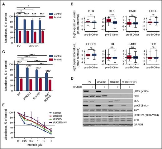 Figure 4. Ibrutinib targets BTK and BLK in B-ALL. (A) Proliferation of RCH-ACV cells after BTK gene knockout was reduced, when quantified in XTT assays and compared with empty vector (EV) controls. Three different sgRNAs were used to knockout BTK. Displayed are the mean with 95% CI of triplicates. (B) The box and whisker graphs depict relative gene expression of tyrosine kinases, to which ibrutinib binds covalently, in primary ALL cases from the St. Jude Children’s Hospital dataset. The whiskers represent minimum and maximum expression values. BTK and BLK expression levels were significantly higher in pre-BCR+ ALL subset than in all other subsets. (C) BTK, BLK, and especially double BLK/BTK gene knockout considerably reduced proliferation of RCH-ACV as measured by XTT assay. Displayed are the mean with 95% CI of triplicates. (D) Double BLK/BTK KO RCH-ACV cells demonstrated diminished phosphorylation of Akt and ERK similarly to control (empty vector) cells treated with 0.5 µM of ibrutinib for 1 hour. (E) Individual BTK and BLK KO RCH-ACV cells were expanded to generate clones. The dose-response curves demonstrate lower ibrutinib sensitivity of KO clones in comparison with empty vector controls as measured by XTT assay. Depicted are the mean with 95% CI of 4–6 clones of each type. ns, not significant. *P < .05; **P < .01; ***P < .001; ****P < .0001.