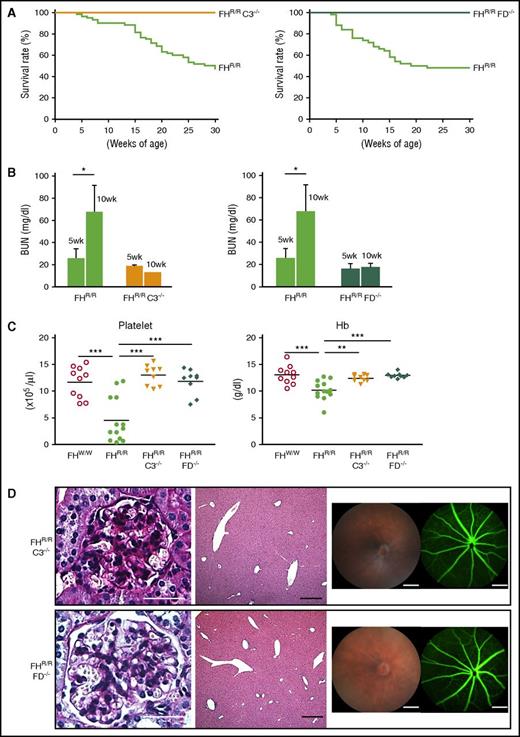 Figure 6. Disease phenotype in FH W1206R mutant mice is mediated by AP complement. (A) FHR/R mice with C3 or FD deficiency survived normally, whereas their FHR/R littermates with normal C3 and FD had high mortality (FHR/RC3−/− n = 64, FHR/RC3+/+ n = 38, FHR/RFD−/− n = 60, and FHR/RFD+/+ n = 36). (B) BUN of FHR/R mice (n = 10) was significantly increased between 5 and 10 weeks of age, whereas BUN in FHR/RC3−/− (n = 6) and FHR/RFD−/− (n = 7) mice remained the same at 5 and 10 weeks of age. (C) CBC analysis showed that FHR/RC3−/− (n = 9) and FHR/RFD−/− (n = 9) mice had normal blood platelet counts and Hb levels, whereas their FHR/R littermates (n = 13) had thrombocytopenia and anemia compared with FHW/W mice (n = 13). (D) Representative pictures of kidney (PAS staining) and liver (hematoxylin and eosin staining) histology, retinal funduscopy, and fluorescence angiography showing that there was no glomerular injury in the kidney or thrombosis in the liver and eye of FHR/RC3−/− and FHR/RFD−/− mice and no retinopathy. Scale bars in panel D represent 25 μm (kidney), 50 μm (liver), and 200 μm (eye). Data in panel B represent mean ± SD. Horizontal bars across scatterplots in panel C represent average values. *P < .05; **P < .01; and ***P < .001 (Mantel-Haenszel log-rank test for panel A; 1-way ANOVA and Student t test for other panels).