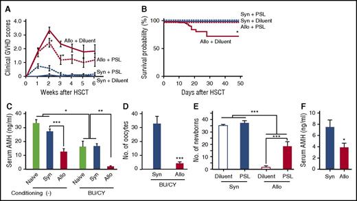 Figure 5. GVHD-mediated ovarian insufficiency after SCT after nonmyeloablative conditioning. After intraperitoneal injection of BU (12 mg/kg) and CY (120 mg/kg) on day −7, mice were transplanted as in Figure 1A-D. Groups of mice were orally administered with 10 mg/kg PSL daily from day 0 to +14 after SCT, and thrice a week thereafter. (A) Clinical GVHD scores of diluent-treated (n = 5) and PSL-treated (n = 6) syngeneic recipients and diluent-treated (n = 12) and PSL-treated (n = 8) allogeneic recipients. Data from 1 of 5 similar experiments were shown as means ± SE. (B) Survivals of diluent-treated (n = 30) and PSL-treated (n = 14) syngeneic recipients and diluent-treated (n = 37) and PSL-treated (n = 18) allogeneic recipients were shown by combining results of 5 independent experiments. (C) Serum levels of AMH on day +21 in naive mice (n = 4) and syngeneic (n = 6) and allogeneic (n = 8) recipients of nonconditioned SCT and BU/CY-treated naive mice (n = 4) and syngeneic (n = 8) and allogeneic recipients of BU/CY-treated SCT were shown as means ± SE. (D) The numbers of oocytes ovulated on PMSG and hCG in syngeneic (n = 8) and allogeneic (n = 10) recipients are shown as means ± SE. (E) Mice were mated with naive male B6D2F1 mice repeatedly from day +14 to +150 and cumulated numbers of newborns from diluent-treated (n = 6) and PSL-treated (n = 8) syngeneic recipients and diluent-treated (n = 11) and PSL-treated (n = 8) allogeneic recipients were shown as means ± SE. (F) Female BALB/c mice were injected with 8 × 106 splenocytes and 8 × 106 bone marrow cells from syngeneic BALB/c or allogeneic B10.D2 donors after 6.5 Gy TBI on day 0. Bilateral ovaries harvested from naive BALB/c mice were transplanted under the kidney capsule on day +1. Serum levels of AMH in syngeneic (n = 10) and allogeneic (n = 11) recipients on day +112 are shown as mean ± SE. Data from 2 independent experiments were combined. *P < .05, **P < .01, ***P < .005.