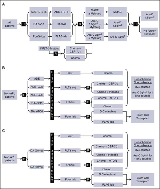 Figure 1. Trial designs and treatment plan. (A) AML15 (2007-2009); (B) AML17 (2009-2011); (C) AML17 (2011-2014). ADE, cytarabine/daunorubicin/etoposide; APL, acute promyelocytic leukemia; CBF, core binding factor leukemia; DA, daunorubicin/cytarabine; D Clofarabine, daunorubicin/clofarabine; FLAG-Ida, fludarabine/cytarabine/G-CSF/idarubicin; GO, gemtuzumab ozogamicin; MACE, amsacrine/cytarabine/etoposide; MidAC, mitozantrone/cytarabine; mTOR: mTOR inhibition with everolimus.
