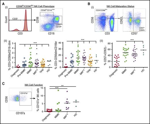 Figure 1. NK cell phenotype and function in CML patients at diagnosis, pre-MMR, MMR, MR4.5, TFR, and in healthy donors (HDs). (A) (i) CD3−CD56brCD16−/dim (immunoregulatory) and CD3−CD56dimCD16br (cytolytic) NK cell gating. (ii) Percent expression CD3−CD56brCD16−/dim and CD3−CD56dimCD16br NK cells as a proportion of total lymphocytes. (B) (i) CD57+CD62L− NK cell gating. (ii) Percent expression CD57+CD62L− (of total NK cells). (C) Representative dot plot of CD107a+ expression in CD3−CD56dim NK cells (left) and percent CD107a+ NK cells in CML patients (of total lymphocytes). Bars denote the median. ***P ≤ .001; **P ≤ .01.