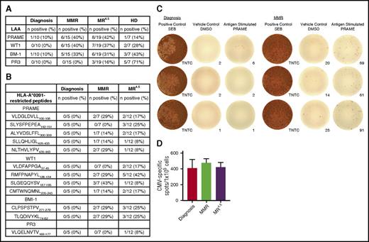 Figure 3. T-cell responses to LAAs PRAME, WT1, BMI-1, and PR3 in CML patients at diagnosis, MMR, MR4.5, and in HD. (A) CTL-mediated immune responses to LAAs in CML patients at diagnosis (n = 10), MMR (n = 15), and MR4.5 (n = 19) and in HD (n = 7). (B) CTL-mediated immune responses to HLA-A*0201–restricted peptides in CML patients at diagnosis (n = 5), MMR (n = 7), and MR4.5 (n = 12). (C) Representative IFN-γ ELISPOT showing T-cell response to PRAME in the same patient at diagnosis (no response, left) and MMR (positive response with IFN-γ production, right). Each colored spot represents a single IFN-γ–secreting cell. SEB, staphylococcal enterotoxin B; TNTC, too numerous to count. Images were captured and IFN-γ spot counts were assessed using AID iSpot Flurospot Reader System. (D) CTL-mediated immune responses to CMV in CMV-positive patients at diagnosis (n = 4), MMR (n = 6), and MR4.5 (n = 10). Columns represent the mean number of CMV-specific spots/1 × 105 cells.