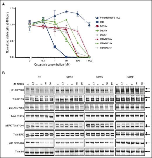 Figure 1. D835 mutations in native FLT3 cause resistance to quizartinib. (A) Normalized cell viability of Ba/F3 populations stably expressing FLT3-mutant isoforms after 48 hours in various concentrations of quizartinib (error bars represent standard deviation of triplicates from the same experiment). (B) Western blot analysis using the indicated antibodies performed on lysates from interleukin-3–independent Ba/F3 populations expressing the FLT3-mutant isoforms indicated. Cells were exposed to quizartinib at the noted concentrations for 90 minutes.