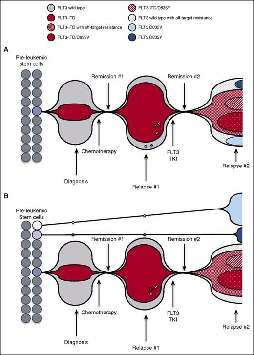 Figure 4. Models for evolution of polyclonal FLT3-dependent and non-FLT3–dependent resistance after TKI treatment. Schematic representation illustrates proportion of FLT3 mutant and native FLT3 leukemia cell population at treatment time points. (A) At diagnosis, FLT3-ITD+ cells represent a portion of bulk tumor. Debulking after chemotherapy results in Remission #1, but is followed by emergence of chemotherapy-resistant FLT3-dependent leukemia cell populations at the time of Relapse #1. FLT3 TKI treatment induces Remission #2, but at the time of Relapse #2, multiple drug-resistant clones evolve, including FLT3 cells containing ITD and native FLT3 cells. (B) At diagnosis, FLT3-ITD+ cells represent a portion of bulk tumor. FLT3 D835V and D835Y mutations arise on native FLT3 alleles in separate leukemic stem cells, and these clones persist through chemotherapy. Debulking after chemotherapy results in Remission #1 but is followed by the emergence of chemotherapy-resistant FLT3-dependent leukemia cell populations at the time of Relapse #1. FLT3 TKI treatment induces Remission #2, but at the time of Relapse #2, multiple drug-resistant clones arise, including FLT3-ITD–containing clones (D835-mutant and off-target resistant), expansion of TKI-resistant native FLT3 D835–mutant clones, and off-target–resistant native FLT3 clones.