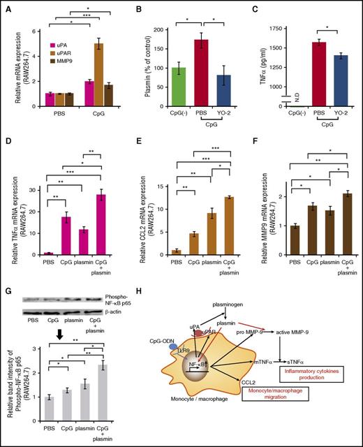 Figure 7. TLR-9 stimulation leads to the activation of plasminogen/plasmin and MMP-9 with the activation of NF-κB signaling in macrophages. (A) Gene expression of uPA, uPAR, and MMP9 in RAW264.7 cells stimulated with CpG for 3 hours was determined by quantitative PCR (qPCR) (n = 3 per group). (B) RAW264.7 cells pretreated with PBS or YO-2 were stimulated with CpG for 3 hours. Culture supernatants were assayed for plasmin (n = 3 per group). (C) RAW264.7 cells pretreated with PBS or YO-2 were stimulated with CpG for 8 hours. TNF-α levels were determined using ELISA (n = 3 per group). (D-F) RAW264.7 cells were stimulated with plasmin, CpG, or plasmin/CpG for 3 hours. The gene expression of (D) TNF-α, (E) CCL2, and (F) MMP-9 in cultured cells was determined by qPCR (n = 3 per group). (G) Western blot of phosphorylated-NF-κB p65 in RAW264.7 cells stimulated with plasmin, CpG, or plasmin/CpG for 30 minutes (n = 3 per group). (H) Proposed mechanism by which plasmin enhances the cytokine storm in MAS. Data represent mean ± SEM. *P < .05, **P < .01, ***P < .001, using 1-way ANOVA with the Tukey posttest or the unpaired, 2-tailed Student t test for significance. mRNA, messenger RNA; mTNF, membrane TNF-α; sTNF, soluble TNF-α.