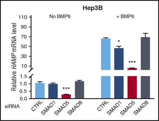 Figure 1. SMAD5 has a dominant role and SMAD1 a contributory role in the regulation of hepcidin in Hep3B cells. Hep3B cells were transfected with negative control (CTRL), SMAD1, SMAD5, or SMAD8 siRNA (20 nM), serum starved with 1% fetal bovine serum overnight, and incubated in the absence or presence of 5 ng/ml of BMP6 for 6 hours. Relative HAMP mRNA levels were determined using quantitative reverse-transcriptase PCR. Transcripts were normalized to an internal control RPL19, and the average of CTRL without BMP6 stimulation was set to 1. Values represent mean ± standard error of the mean. *P < .05; ***P < .001 relative to the respective CTRL by 1-way analysis of variance with Dunnett’s post hoc test (n = 3-4 per group).
