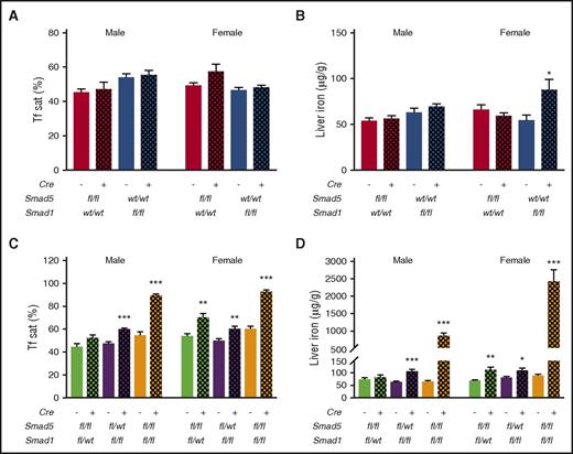 Figure 3. Hepatocyte Smad1 or Smad5 single-knockout mice exhibit minimal to no iron loading, whereas knockout of 3 or 4 Smad1/5 alleles causes progressive serum and liver iron overload. (A-B) Serum transferrin saturation (Tf sat; A) and hepatic nonheme iron concentrations (B) of Smad5fl/fl;Cre+ and Smad1fl/fl;Cre+ mice (n = 5-7 per group) compared with their respective littermate Cre− controls. (C-D) Serum transferrin saturation (C) and hepatic nonheme iron concentrations (D) of Smad1fl/wt;Smad5fl/fl;Cre+, Smad1fl/fl;Smad5fl/wt;Cre+, and double-knockout Smad1fl/fl;Smad5fl/fl;Cre+ mice compared with their respective littermate Cre− controls (n = 6-12 per group). Values represent mean ± standard error of the mean. *P < .05; **P < .01; ***P < .001 relative to the respective Cre− controls by Student t test.