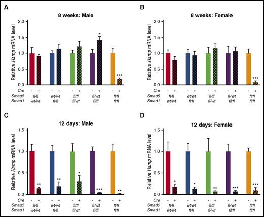 Figure 4. Liver Hamp mRNA is reduced at 12 days of age in mice lacking 2 to 4 Smad1/5 alleles but is reduced at 8 weeks of age only in double-knockout mice. Relative expression of Hamp was measured in Smad5fl/fl;Cre+, Smad1fl/fl;Cre+, Smad1fl/wt;Smad5fl/fl;Cre+, Smad1fl/fl;Smad5fl/wt;Cre+, Smad1fl/fl;Smad5fl/fl;Cre+, and littermate control Cre− mouse livers at 8 weeks (A-B; n = 5-11 per group) or 12 days (C-D; n = 3-6 per group) of age. Transcript levels were normalized to Rpl19, and the average of the respective littermate Cre− control mice was set to 1. Values represent mean ± standard error of the mean. *P < .05; **P < .01; ***P < .001 relative to the respective Cre− controls by Student t test.