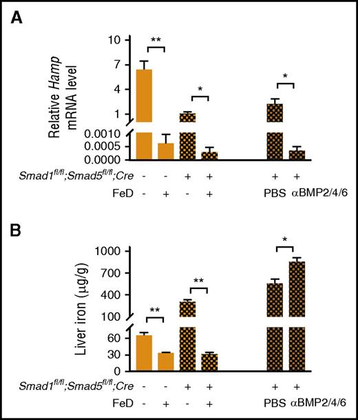 Figure 7. Hamp mRNA levels are suppressed in double-knockout mice treated with a low-iron diet. (A-B left) Smad1fl/fl;Smad5fl/fl;Cre+ mice and littermate Cre− controls were fed a standard or low-iron diet (FeD) for 3 weeks upon weaning. (A-B right) Smad1fl/fl;Smad5fl/fl;Cre+ mice were fed a low-iron diet for 2 weeks upon weaning and switched to standard diet for 1 week, coupled with 4 intraperitoneal injections of phosphate-buffered saline (PBS) or a mixture of neutralizing BMP2/4 (10 mg/kg of body weight) and BMP6 (5 mg/kg of body weight) antibodies in PBS administered every other day. Livers were harvested to measure Hamp mRNA levels (A) and nonheme iron concentrations (B; n = 3-8 per group). Values represent mean ± standard error of the mean. *P < .05; **P < .01 relative to mice on a standard diet of the same genotype (left) or relative to PBS-treated mice (right) by Student t test.