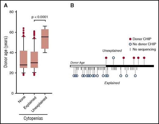 Figure 1. Age distribution of cytopenias and donor CHIP. (A) Donor age in HSCT recipients with >95% chimerism after day 100 based on the presence of persistent cytopenias with (explained) and without (unexplained) identified cause. Box limits indicate the 25th and 75th percentiles, whiskers extend to the 10th and 90th percentiles, and dots represent outliers. (B) Donor age distribution among patients with cytopenias. Donor age is plotted on a single axis, with the white portion representing age <40 years and the black portion representing age 40 years and older (overall range, 15-72 years). Patients who underwent next-generation sequencing as part of their evaluation are represented by circles (red, donor CHIP; blue, no donor CHIP). Patients who did not undergo sequencing are represented by hatch marks.